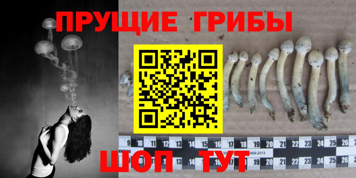 Азнакаево  Псилоцибиновые грибы ЛСД  Вход с VPN  Галлюциногенные грибы мухоморы 